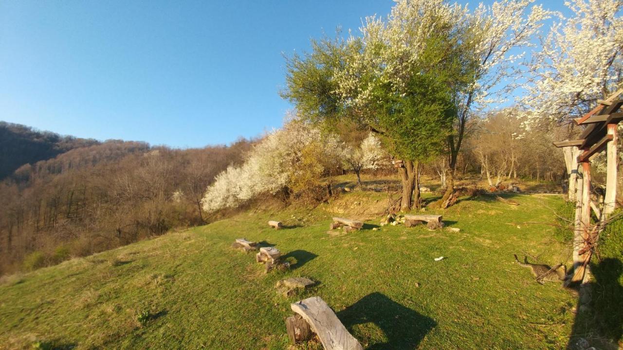 Арт Комплекс Горски Дом - Трявна Luaran gambar
